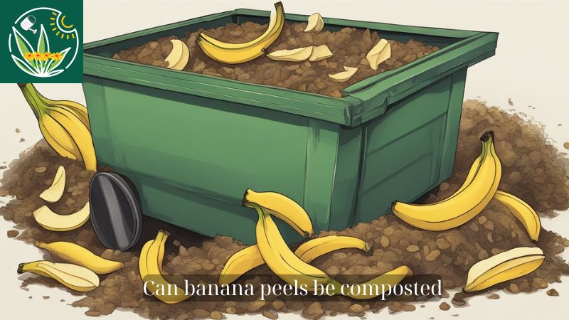 Can banana peels be composted