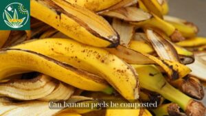 Can banana peels be composted