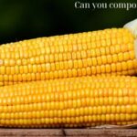 Can you compost corn cobs