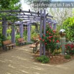 Gardening in Las Vegas Nevada