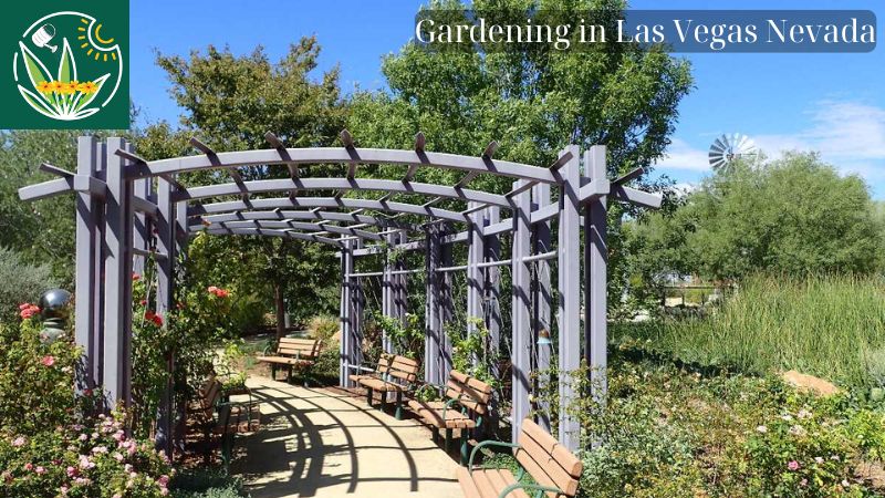 Gardening in Las Vegas Nevada