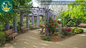 Gardening in Las Vegas Nevada