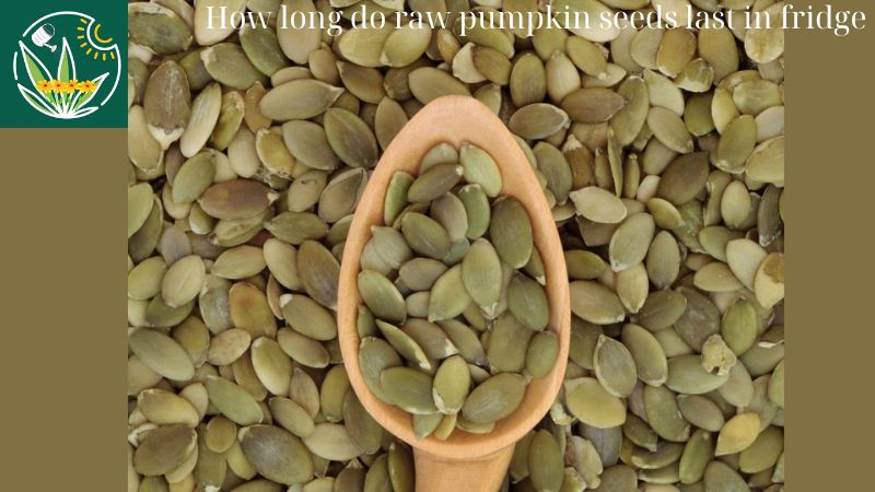 How long do raw pumpkin seeds last in fridge