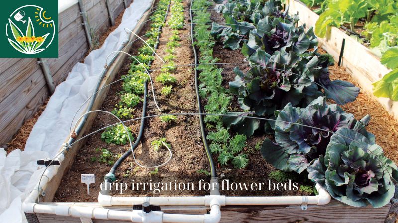 drip irrigation for flower beds