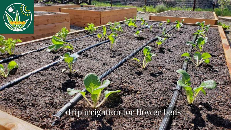 How to install a drip irrigation for flower beds