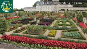 15 famous gardens in France