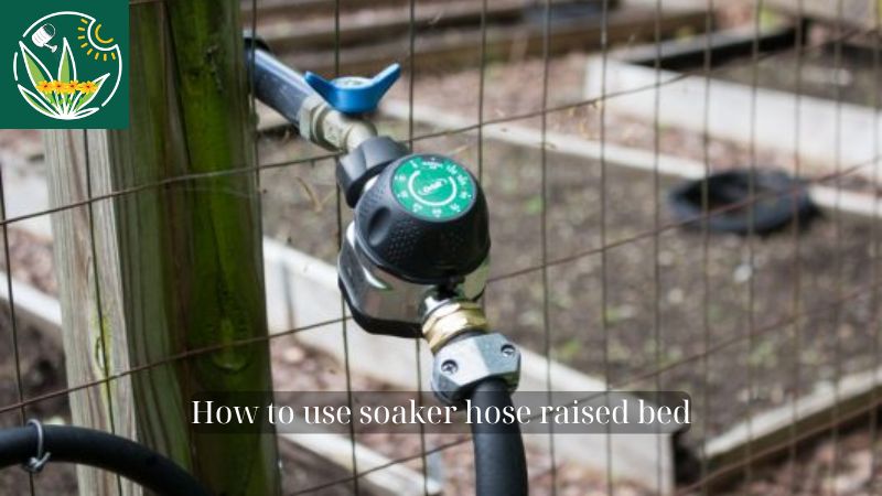 soaker hose raised bed