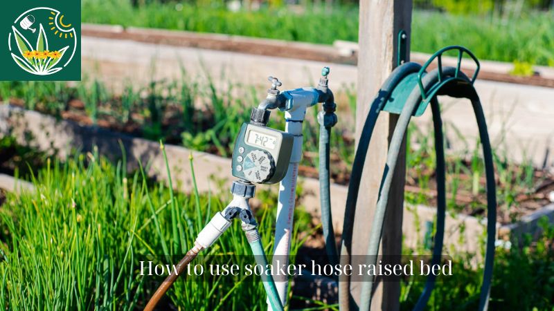 How to use soaker hose raised bed