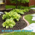 Is mulch made of poop