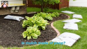 Is mulch made of poop?