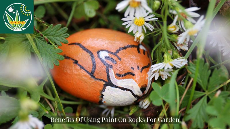 paint on rocks for garden