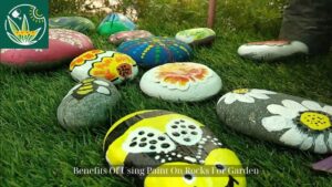 Benefits Of Using Paint On Rocks For Garden